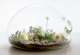 Illustration for article titled Guaranteed Awesome Gifts for the 21st Century Hippie